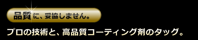 �v���̋Z�p�ƁA���i���R�[�e�B���O�܂̃^�b�O